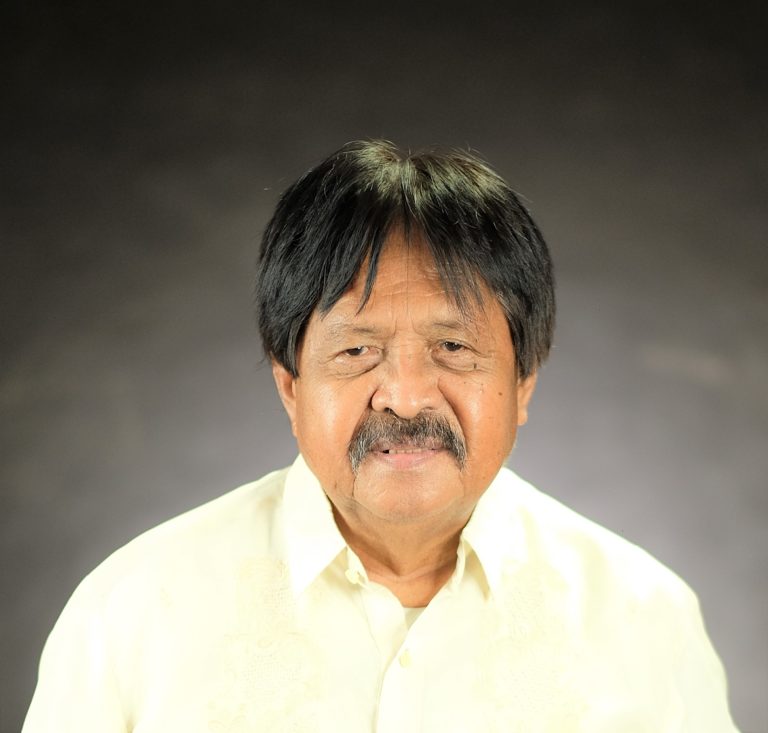 ELMER R. BARTOLATA, CESO III